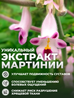 1WIN / Коллаген морской. Вкус Май Тай, 180г, 30 порций