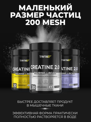 1WIN / Креатин моногидрат + Таурин + ВСАА. Вкус Лесные ягоды, 200г, 30 порций